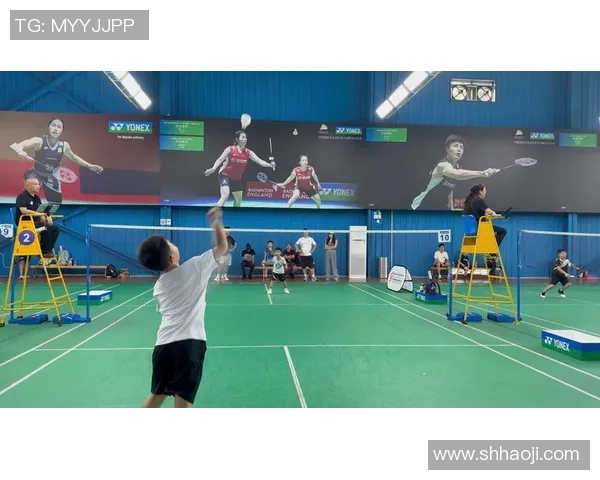 成都羽毛球队在奥运会上的精彩节奏表现与未来发展展望