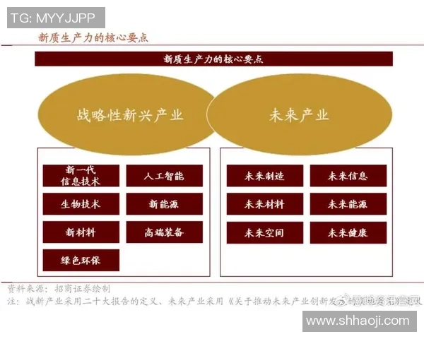 代怀博的崛起与挑战：探索新兴行业中的机遇与风险分析