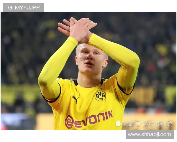 哈兰德：从天才少年到世界足球巨星的辉煌之路与未来展望